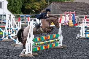 Class 7 - Fences 3' to 3'3